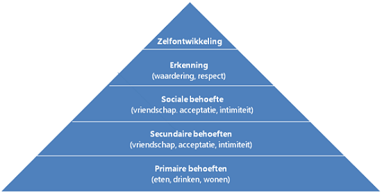 Vitaliteitfactor-piramide van maslow-blauw -500p